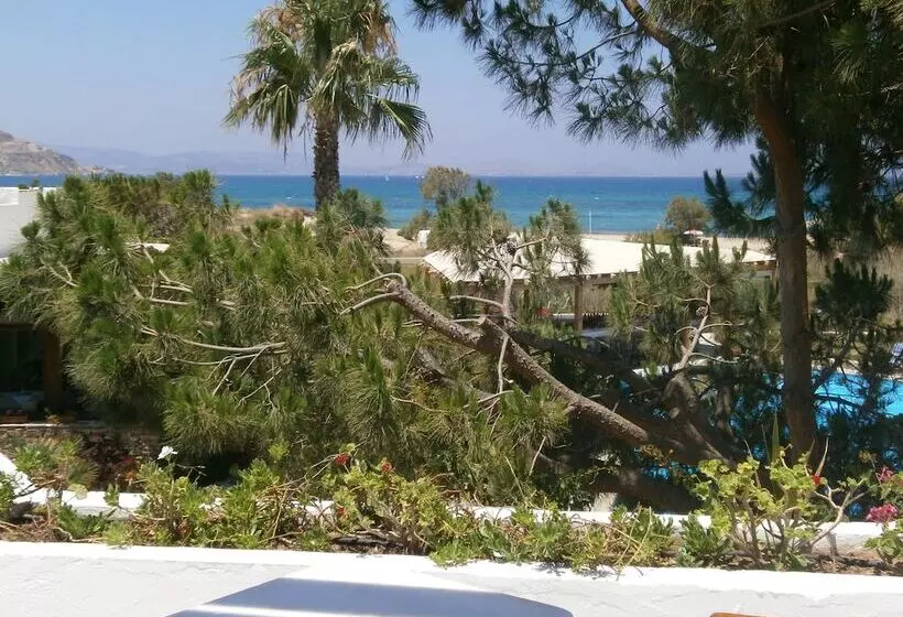 اتاق اجرایی, Alkyoni Beach