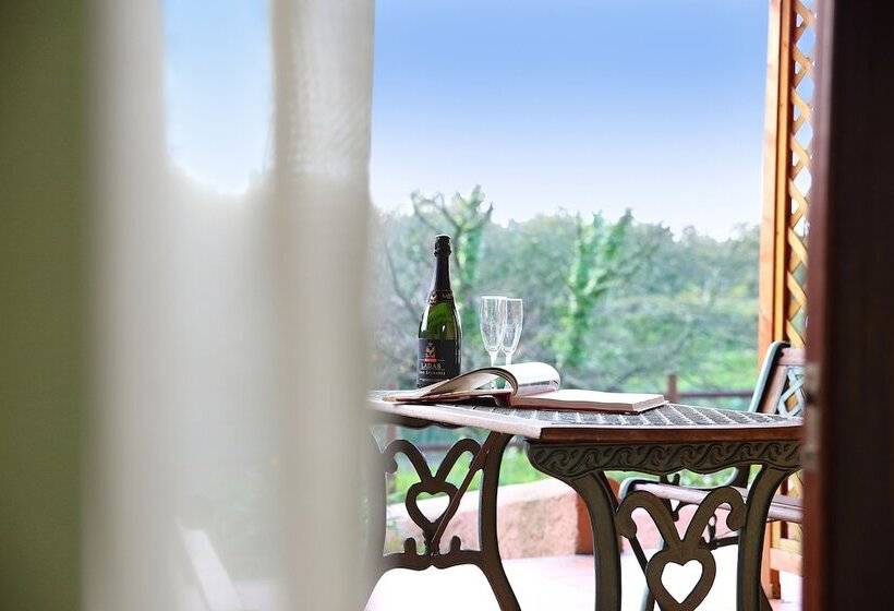 غرفة سوبيريور, Pausania Inn