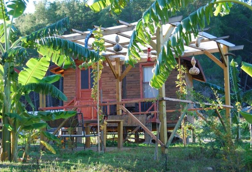 اتاق کلاسیک سه تخته, Havasupark Bungalows