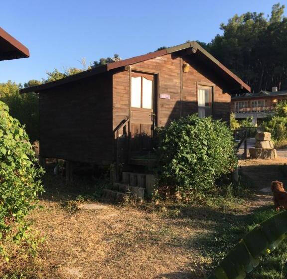 اتاق کلاسیک سه تخته, Havasupark Bungalows