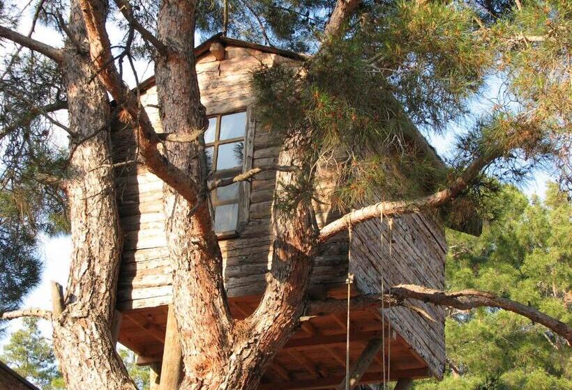 اتاق اکونومی, Havasupark Bungalows