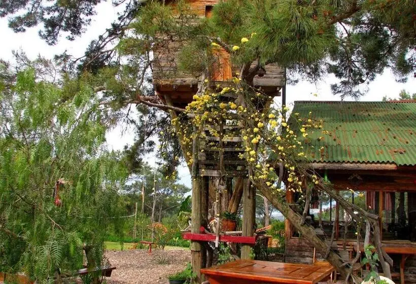 اتاق اکونومی, Havasupark Bungalows