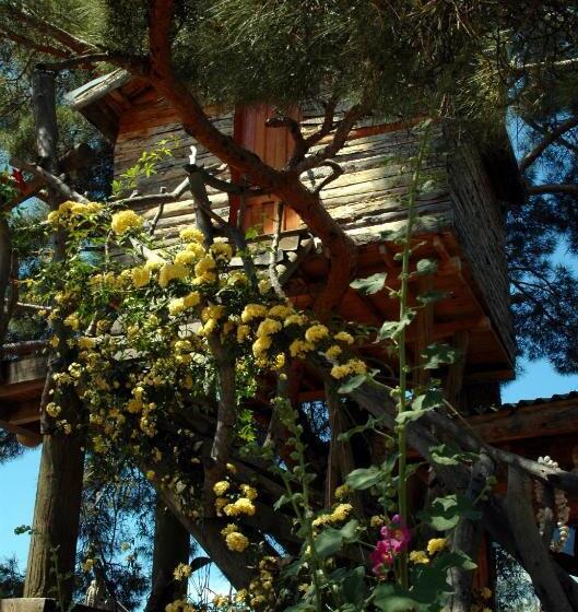 اتاق اکونومی, Havasupark Bungalows