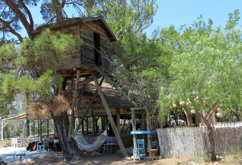 اتاق اکونومی, Havasupark Bungalows