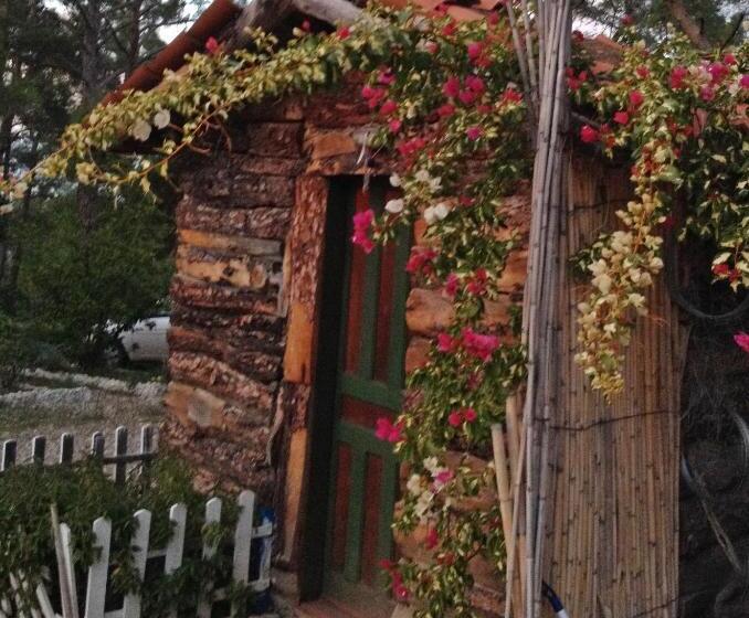 اتاق استاندارد, Havasupark Bungalows