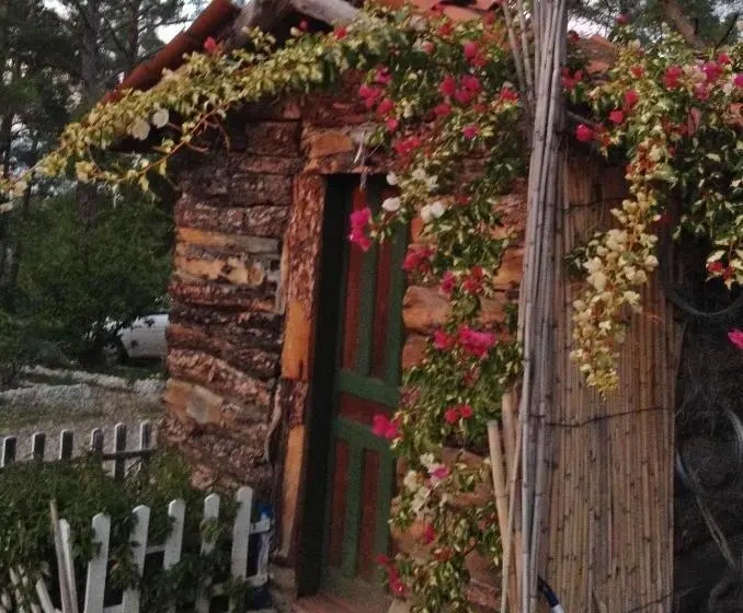 اتاق استاندارد, Havasupark Bungalows
