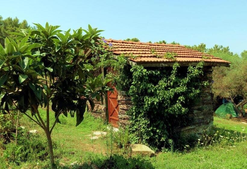 اتاق استاندارد, Havasupark Bungalows