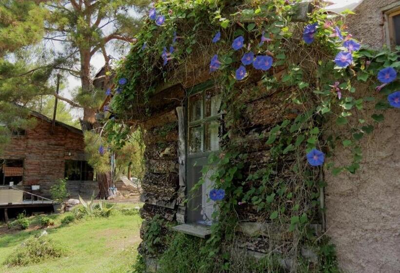 اتاق استاندارد, Havasupark Bungalows