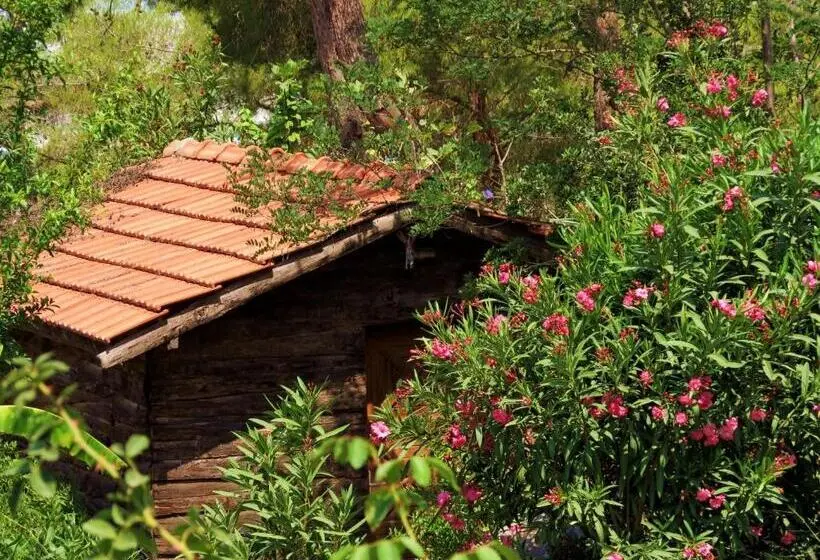 اتاق استاندارد با چشمانداز باغ, Havasupark Bungalows