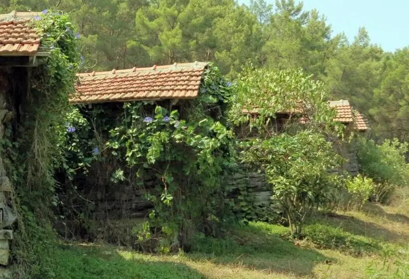 اتاق استاندارد با چشمانداز باغ, Havasupark Bungalows