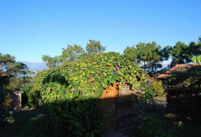 اتاق استاندارد با چشمانداز باغ, Havasupark Bungalows