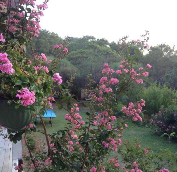 اتاق استاندارد, Havasupark Bungalows