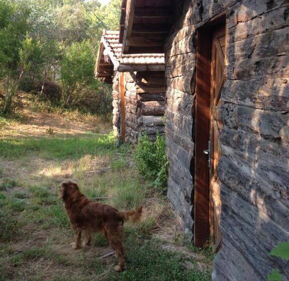 اتاق استاندارد, Havasupark Bungalows