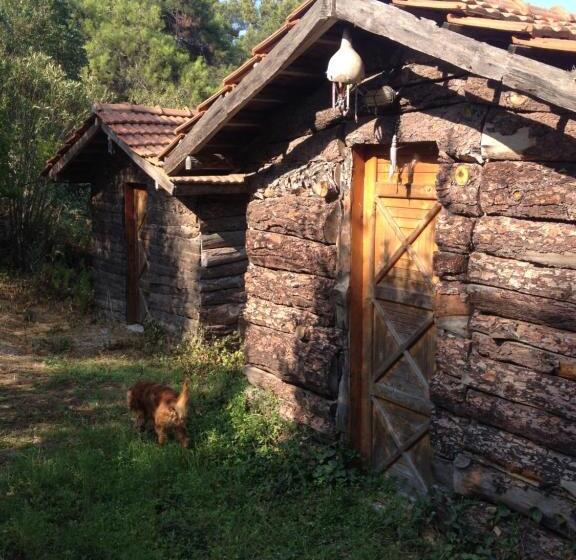 اتاق استاندارد, Havasupark Bungalows