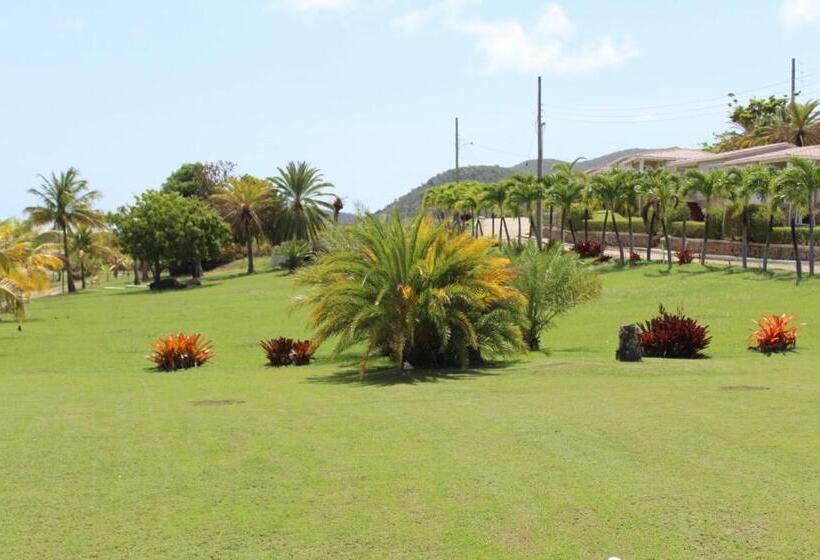 استودیو استاندارد با چشمانداز باغ, South Coast Horizon