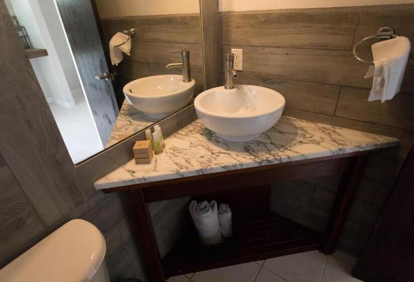 استودیو استاندارد با چشمانداز باغ, South Coast Horizon