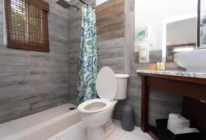 استودیو استاندارد با چشمانداز باغ, South Coast Horizon