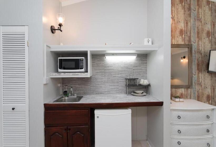 استودیو استاندارد با چشمانداز باغ, South Coast Horizon