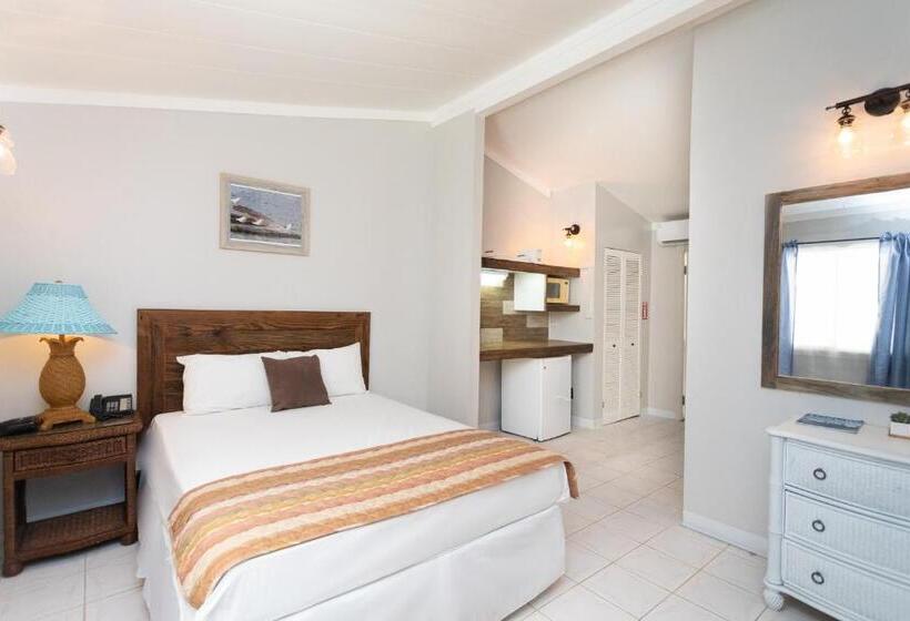 استودیو استاندارد با چشمانداز باغ, South Coast Horizon