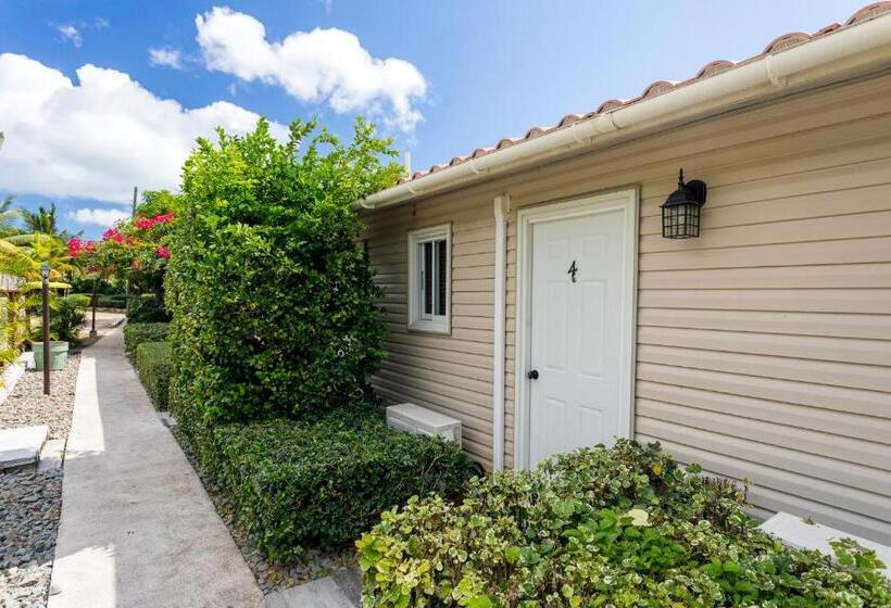 استودیو استاندارد با چشمانداز باغ, South Coast Horizon