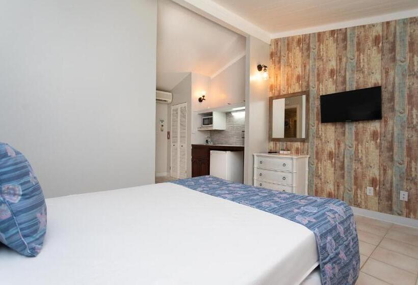 استودیو استاندارد با چشمانداز باغ, South Coast Horizon