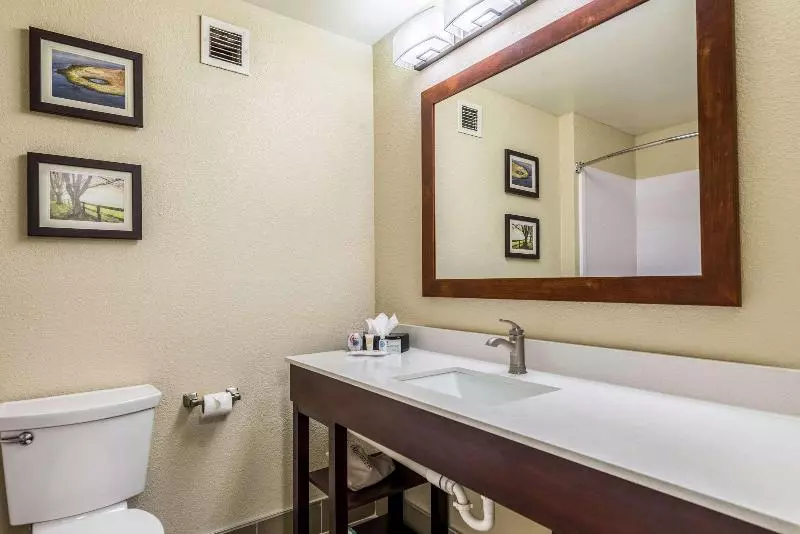 Sviitti King-vuode, Comfort Inn & Suites Dayton North