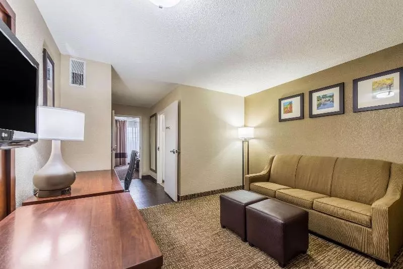 Sviitti King-vuode, Comfort Inn & Suites Dayton North