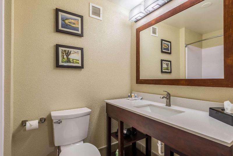 سوئیت با تخت بزرگ, Comfort Inn & Suites Dayton North