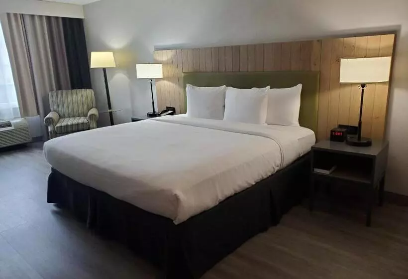 キングサイズベッドのスタンダードルーム, Country Inn & Suites By Radisson, Buford At Mall Of Georgia, Ga