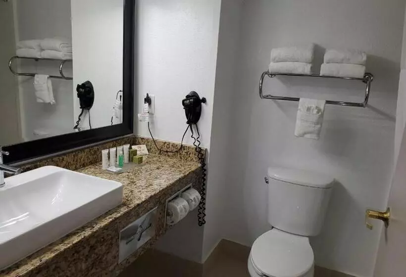 キングサイズベッドのスタンダードルーム, Country Inn & Suites By Radisson, Buford At Mall Of Georgia, Ga