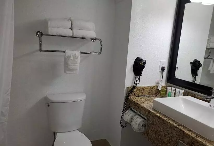 キングサイズベッドのスイートルーム, Country Inn & Suites By Radisson, Buford At Mall Of Georgia, Ga