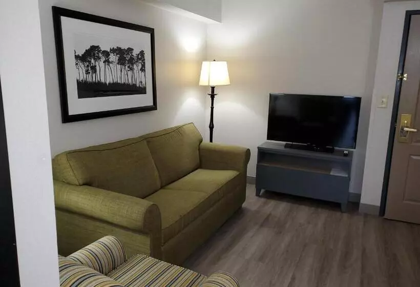 キングサイズベッドのスイートルーム, Country Inn & Suites By Radisson, Buford At Mall Of Georgia, Ga