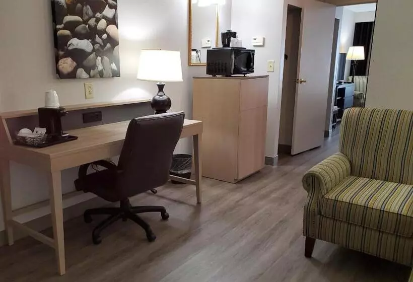キングサイズベッドのスイートルーム, Country Inn & Suites By Radisson, Buford At Mall Of Georgia, Ga