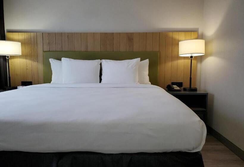 Люкс Кровать Кинг, Country Inn & Suites By Radisson, Buford At Mall Of Georgia, Ga