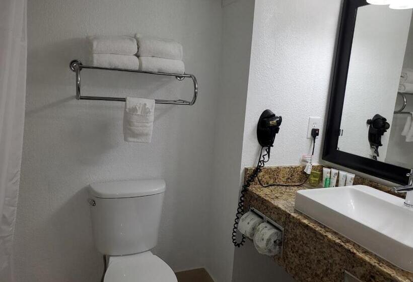 스탠다드 스튜디오 킹침대, Country Inn & Suites By Radisson, Buford At Mall Of Georgia, Ga