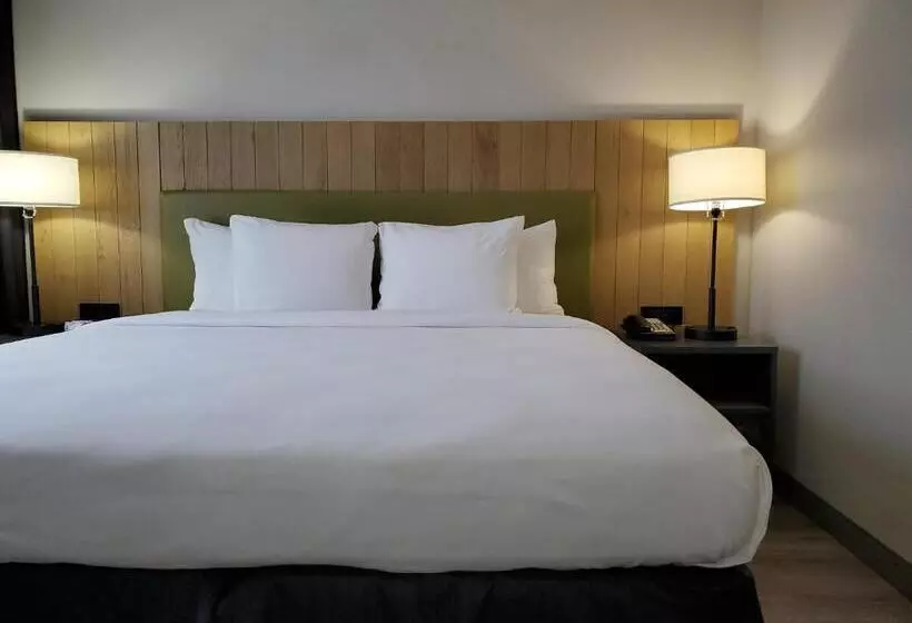 キングサイドベッドのスタンダードワンルーム, Country Inn & Suites By Radisson, Buford At Mall Of Georgia, Ga