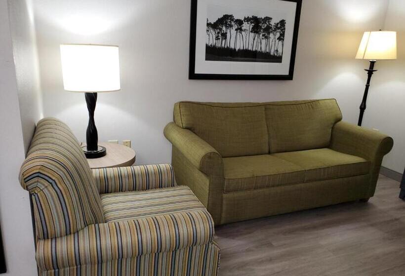 Студио Стандарт Кровать Кинг, Country Inn & Suites By Radisson, Buford At Mall Of Georgia, Ga