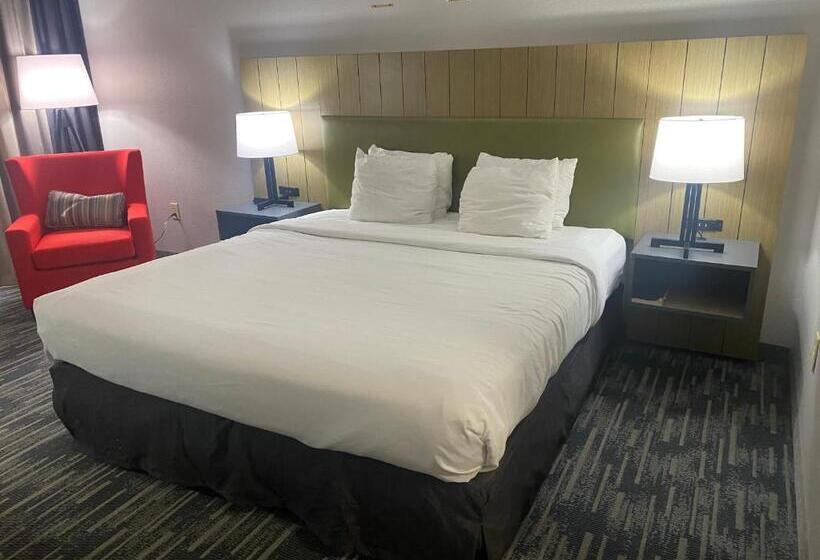 キングサイズベッドのスタンダードルーム, Country Inn & Suites By Radisson, Columbia Airport, Sc