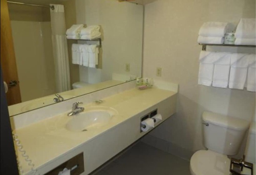 스위트, Country Inn & Suites By Radisson, Lansing, Mi