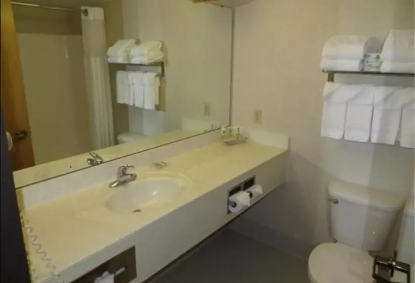 スイート, Country Inn & Suites By Radisson, Lansing, Mi