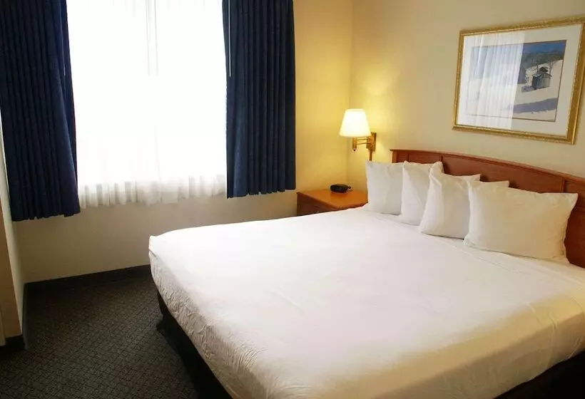 スイート, Country Inn & Suites By Radisson, Lansing, Mi