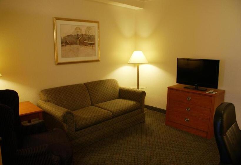 Люкс Кровать Кинг, Country Inn & Suites By Radisson, Lansing, Mi