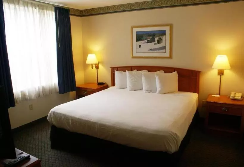 ２ベッドスイートルーム, Country Inn & Suites By Radisson, Lansing, Mi