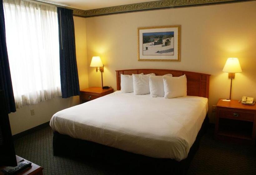 스탠다드 스튜디오 킹침대, Country Inn & Suites By Radisson, Lansing, Mi