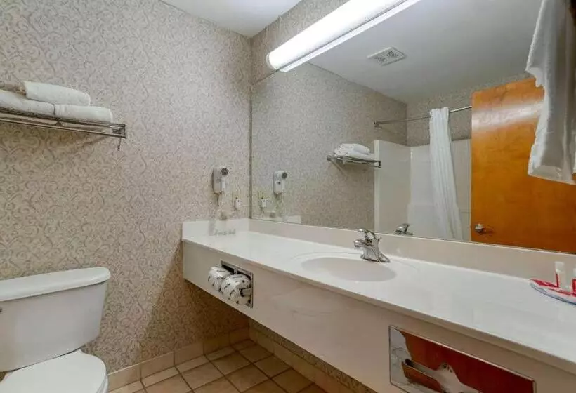 اتاق استاندارد با تخت بزرگ, Econo Lodge Inn & Suites