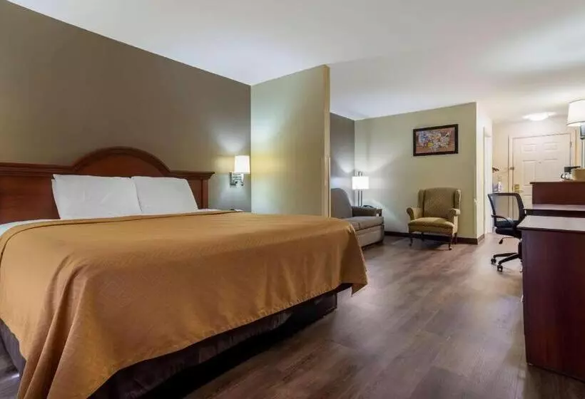 اتاق استاندارد با تخت بزرگ, Econo Lodge Inn & Suites