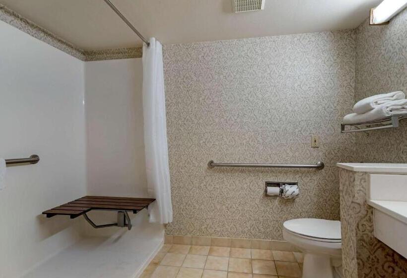 غرفة قياسية سرير كينج لذوى الإحتياجات الخاصة, Econo Lodge Inn & Suites