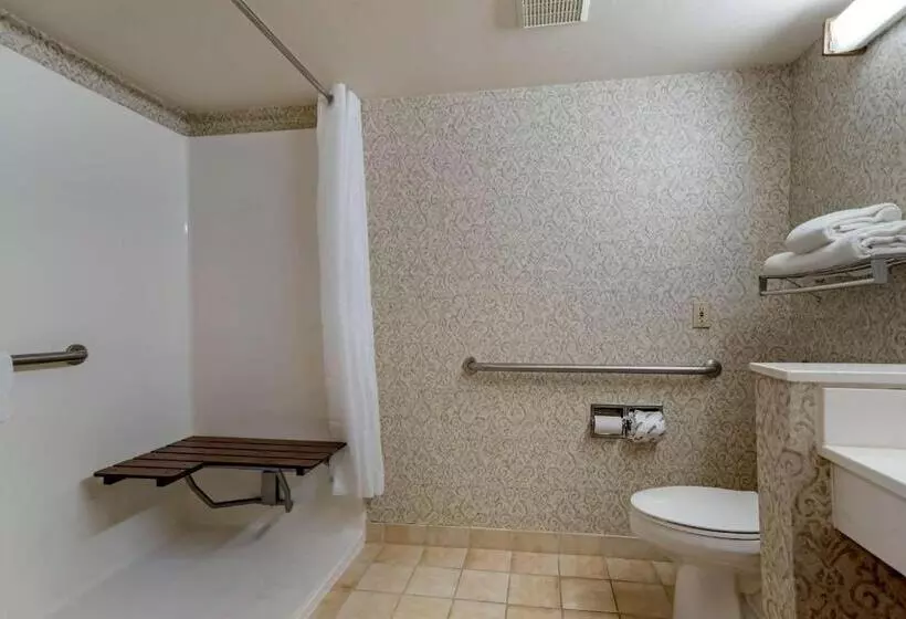 اتاق استاندارد با تخت بزرگ برای معلولان, Econo Lodge Inn & Suites