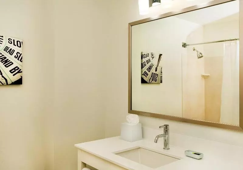 استودیو استاندارد با تخت کینگ, Four Points By Sheraton Louisville Airport