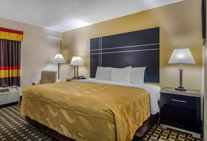 キングサイズベッドのスタンダードルーム, Quality Inn & Suites Union City   Atlanta South